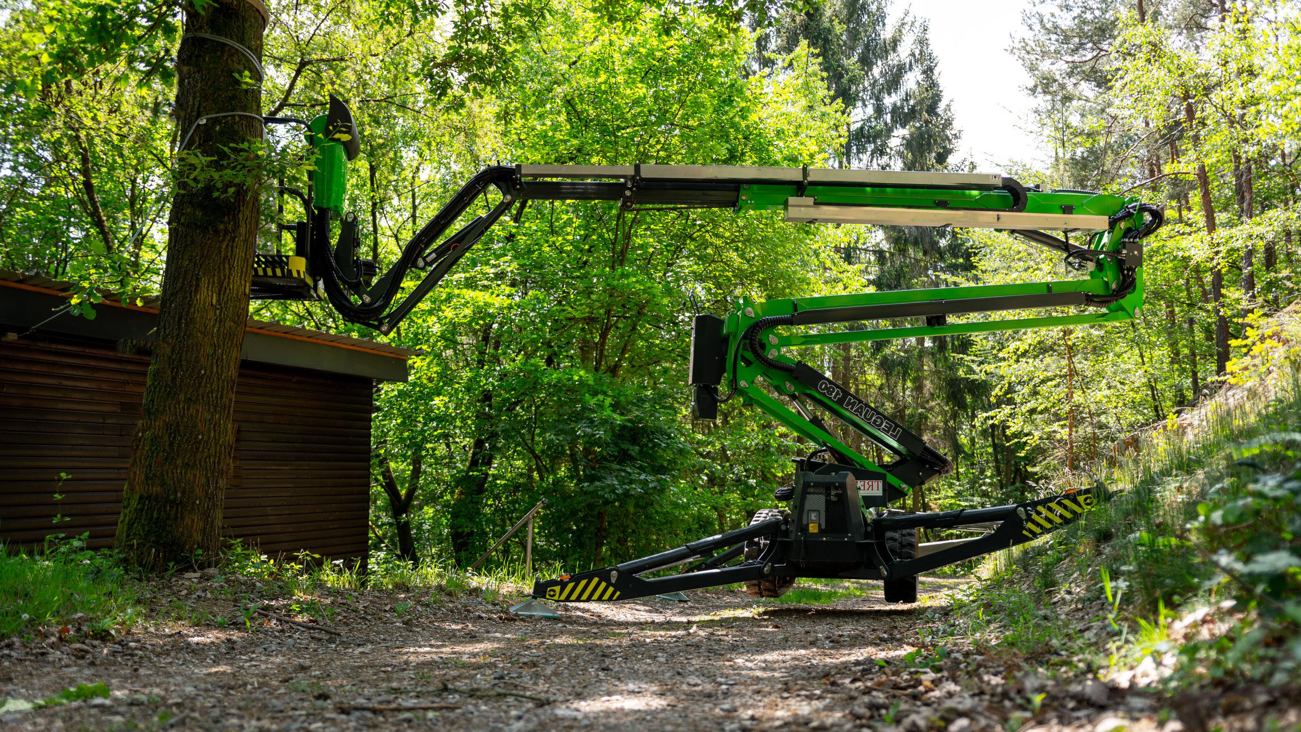 Taille de haie, ou de vegetaux d'une hauteur jusqu' a 25m